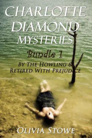 Book cover of Charlotte Diamond Mysteries