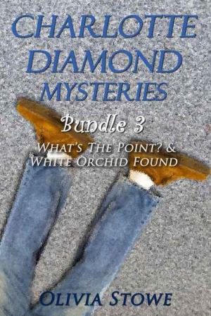 Cover of the book Charlotte Diamond Mysteries by Olivia Stowe