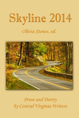 bigCover of the book Skyline 2014 by 