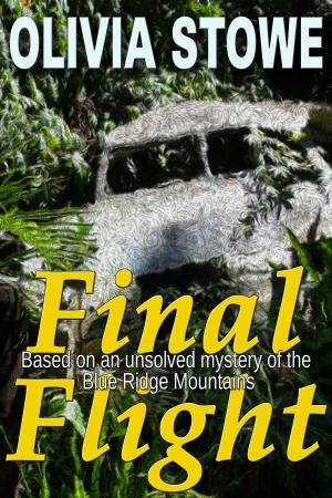 Book cover of Final Flight
