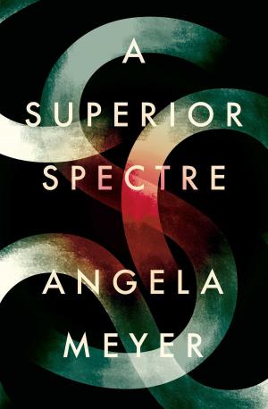 Book cover of A Superior Spectre