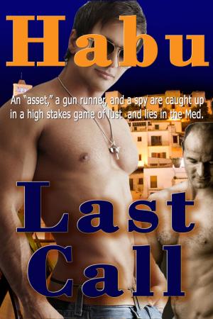 Cover of the book Last Call by habu