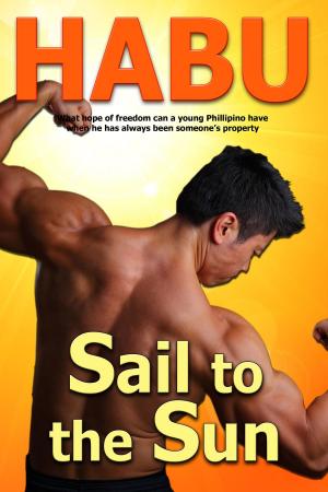Book cover of Sail to the Sun