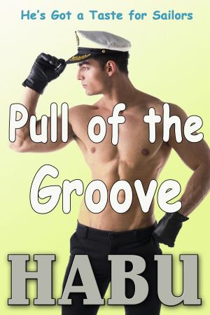 Cover of the book Pull of the Groove by habu