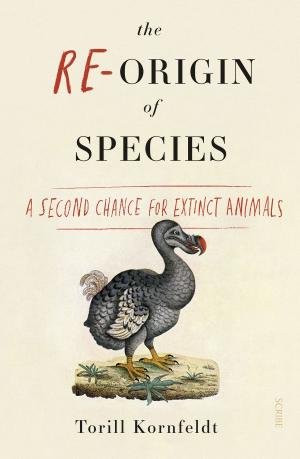 Cover of the book The Re-Origin of Species by Lindsay Tanner