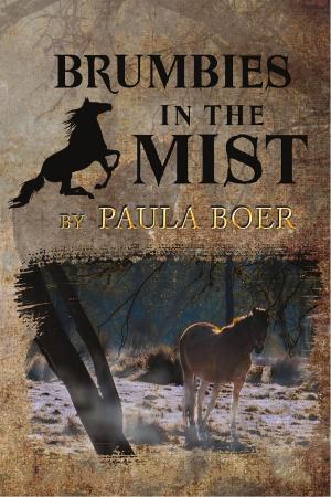 Cover of the book Brumbies in the Mist by Steven Paulsen