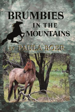 Cover of the book Brumbies in the Mountains by David Sperry