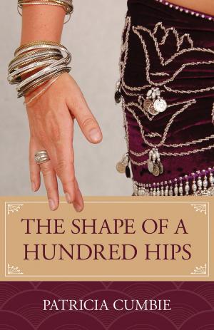 Cover of the book The Shape of a Hundred Hips by Ruth Simkin
