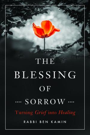 Book cover of The Blessing of Sorrow