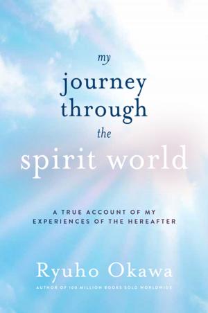Book cover of My Journey through the Spirit World
