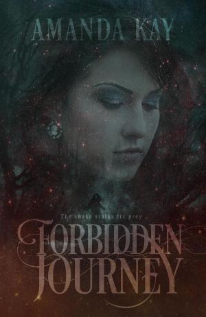 Cover of Forbidden Journey