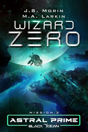 Book cover of Wizard Zero: Mission 2