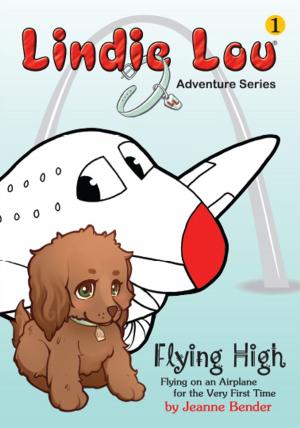 Cover of Flying High: Flying on an Airplane for the First Time