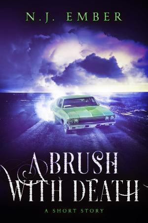 Book cover of A Brush with Death
