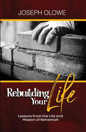Cover of the book Rebuilding Your Life by Vitiana Paola Montana