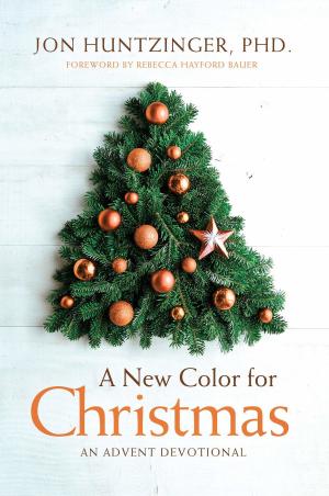 Cover of the book A New Color for Christmas by Robert Morris