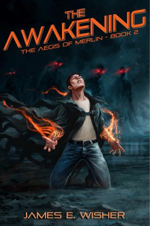 Cover of the book The Awakening by James E. Wisher