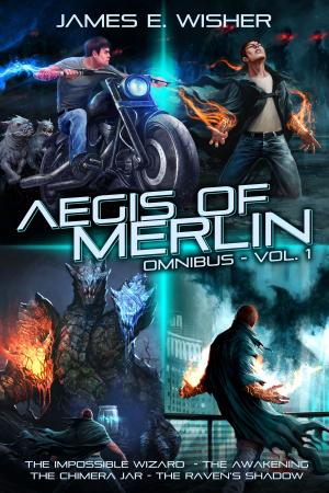 Book cover of The Aegis of Merlin Omnibus Vol 1