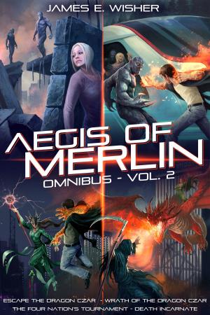 Book cover of The Aegis of Merlin Omnibus Vol. 2