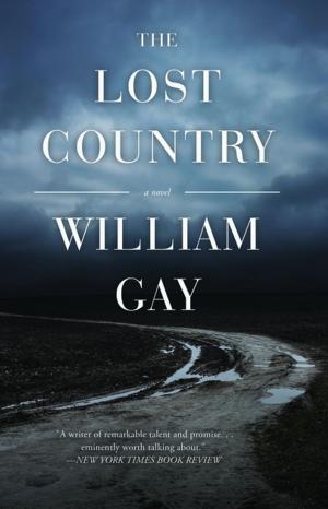 Cover of the book The Lost Country by Robert Kloss