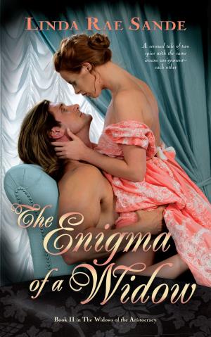 Book cover of The Enigma of a Widow