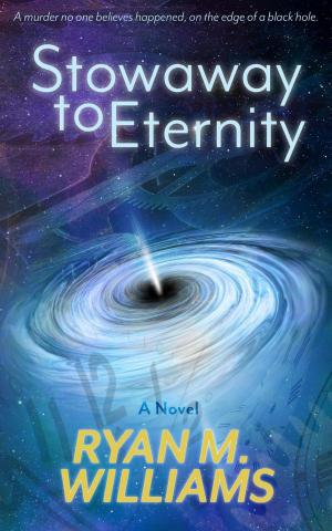 Book cover of Stowaway to Eternity