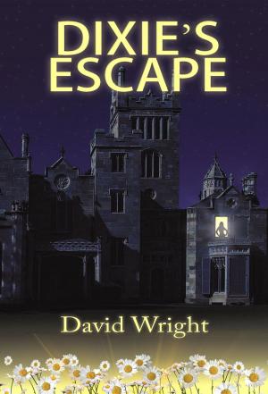 Book cover of Dixie's Escape