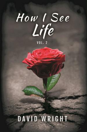 Cover of the book How I See Life, Volume 2 by Dana L. Stringer