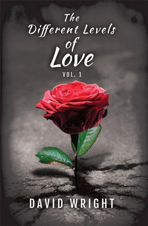 Cover of the book The Different Levels of Love, Volume 1 by Bryan Simpson