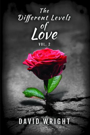 Book cover of The Different Levels of Love, Volume 2