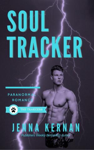 Cover of the book Soul Tracker by Rhenna Morgan
