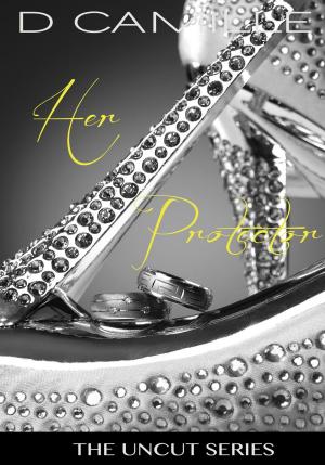 Cover of the book Her Protector by Paulo Levy
