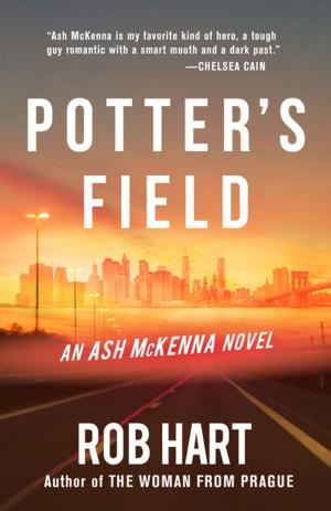 Cover of the book Potter's Field by J.D. Rhoades