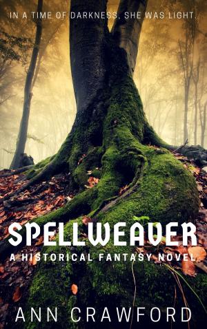 bigCover of the book Spellweaver by 