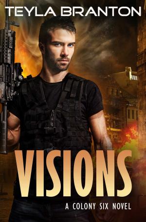 Cover of the book Visions by Teyla Branton