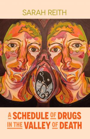 Cover of the book A Schedule of Drugs in the Valley of Death by Birgitta Hjalmarson