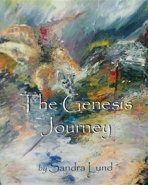 Book cover of The Genesis Journey: Book One