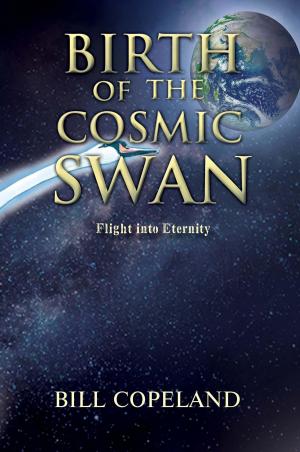 Cover of the book BIRTH OF THE COSMIC SWAN by Edna E. Craven DC CTN BCI ME