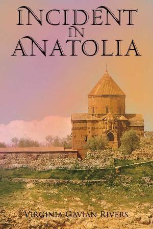 Cover of the book Incident in Anatolia by JASON BOURQUE