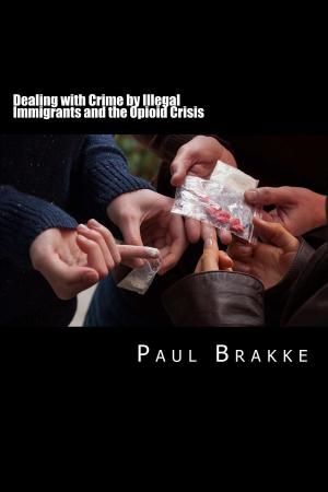 Cover of the book Dealing with Crime by Illegal Immigrants and the Opioid Crisis by Gini Graham Scott