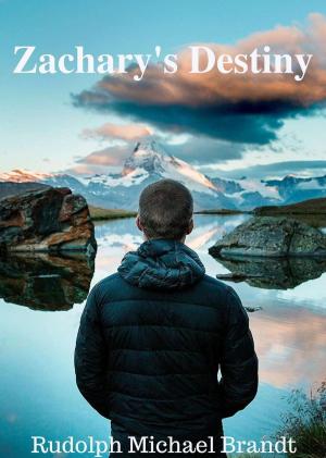 Cover of the book Zachary's Destiny by Claire Chilton