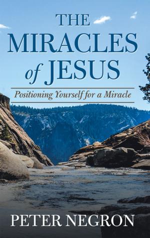 Cover of the book The Miracles of Jesus by Os Hillman