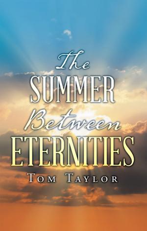 Cover of the book The Summer Between Eternities by Abraham S. Rajah