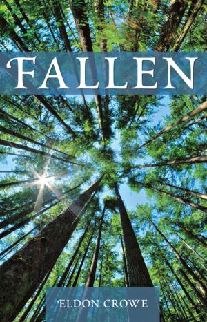 Cover of the book Fallen by Amber Albee Swenson