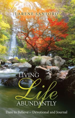 Cover of the book Living Life Abundantly by Lesa Brackbill