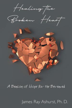 Book cover of Healing the Broken Heart
