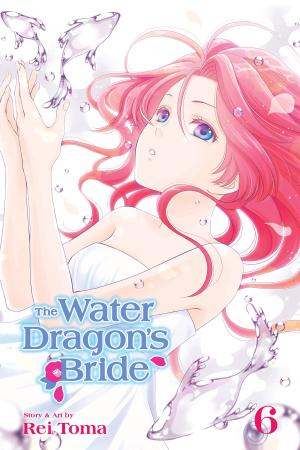 Cover of the book The Water Dragon’s Bride, Vol. 6 by Satoru Noda