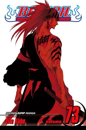 Cover of the book Bleach, Vol. 73 by Hit Point