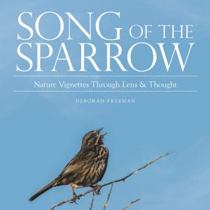 Cover of the book Song of the Sparrow by David Lawrence Preston