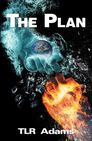 Cover of the book The Plan by Neil A. Hoag